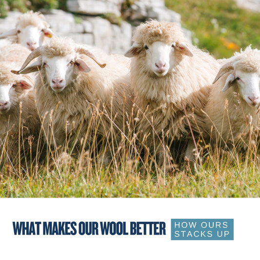 What is Merino Wool, and How Does It Stack Up Against Other Fibers?